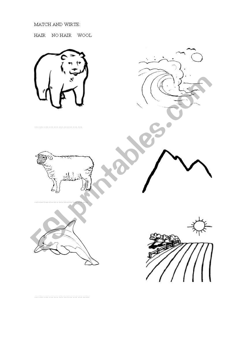 animals and habitats worksheet