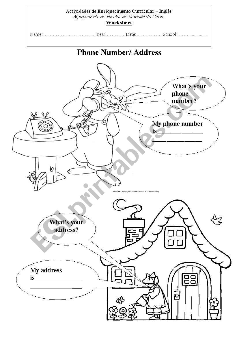 phone number and address worksheet