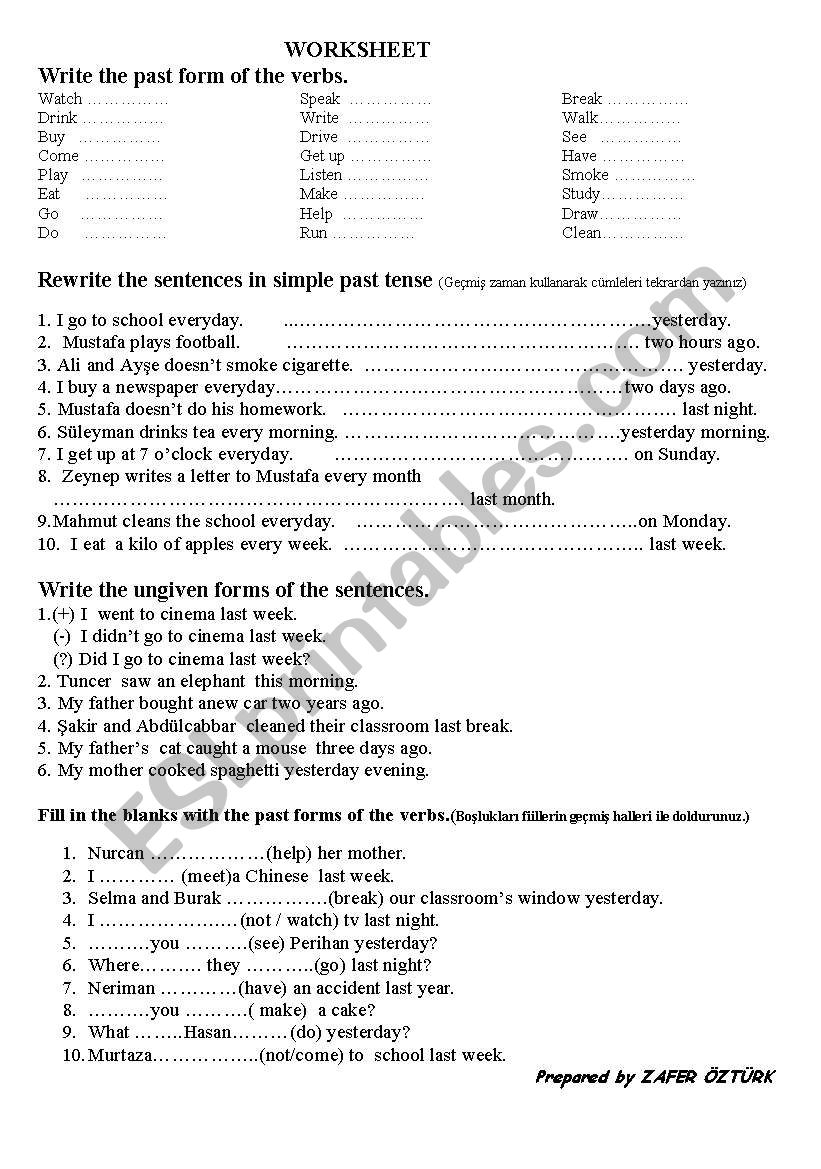 simple past tense  worksheet