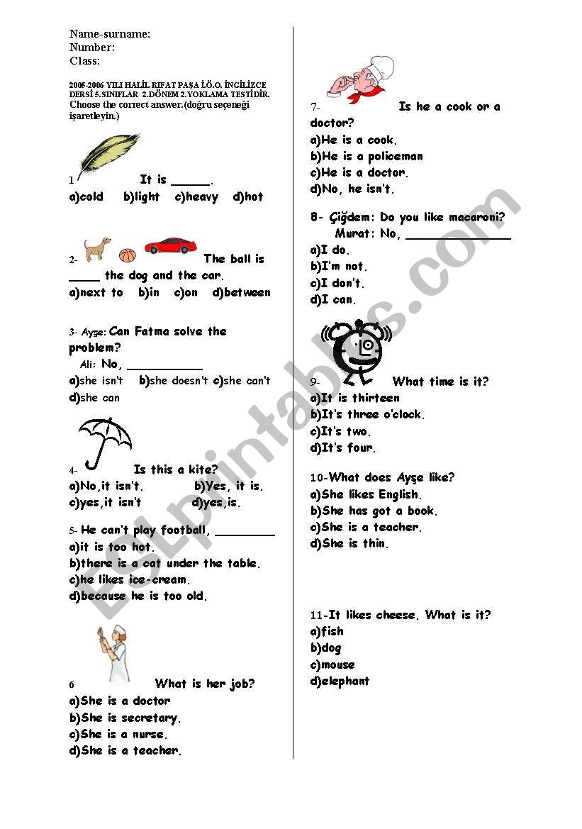 Examination For Grade Five worksheet