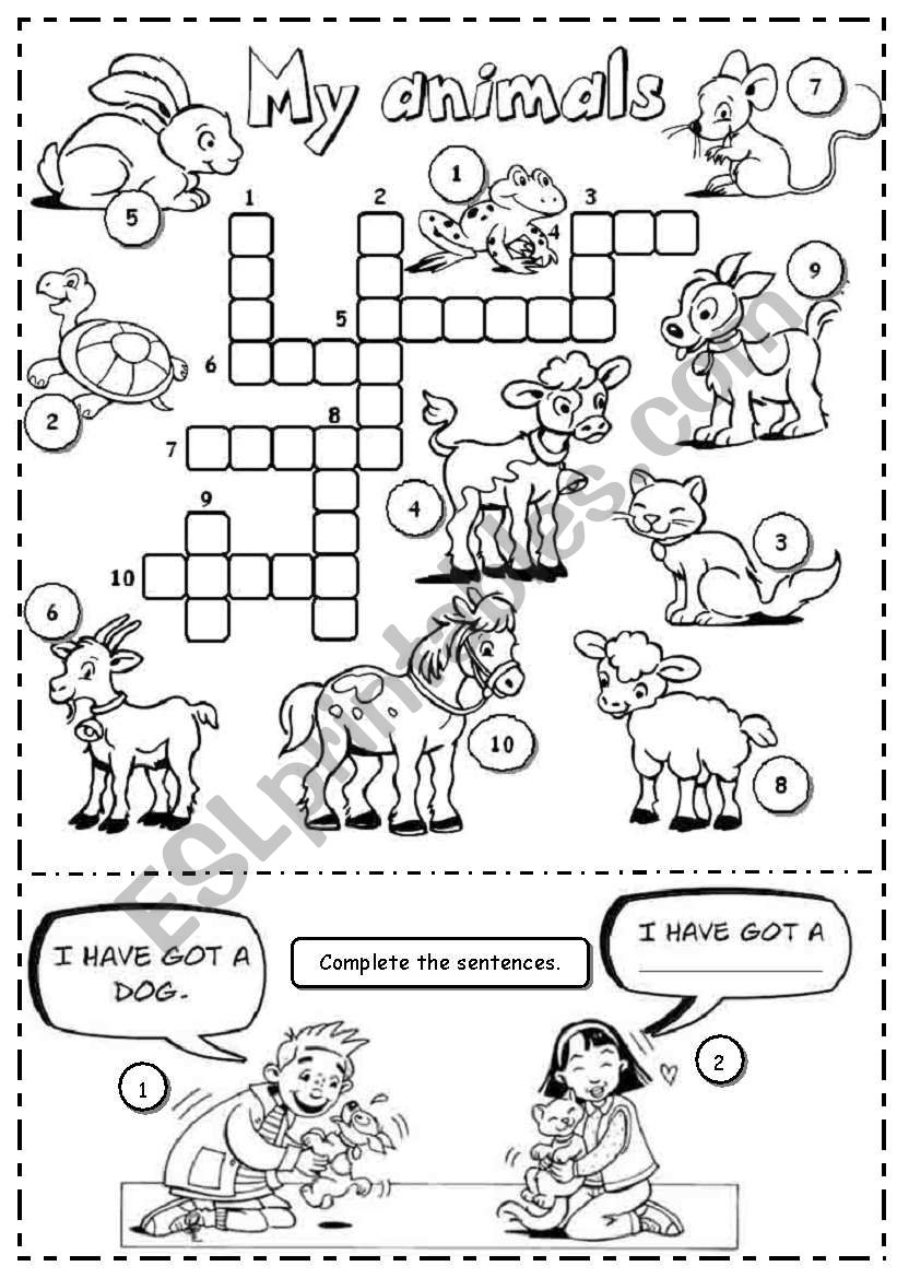 My animals worksheet