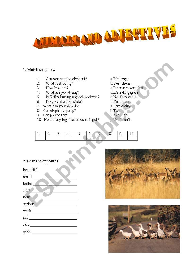 Animals and adjectives worksheet