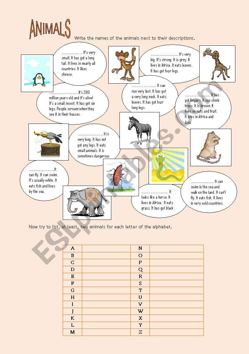 Animals worksheet