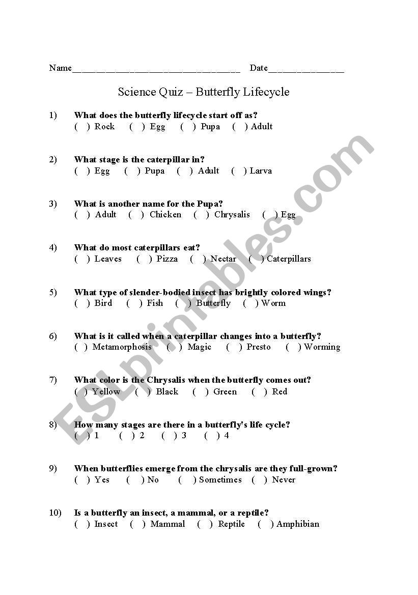 Butterfly Quiz - Second Grade worksheet