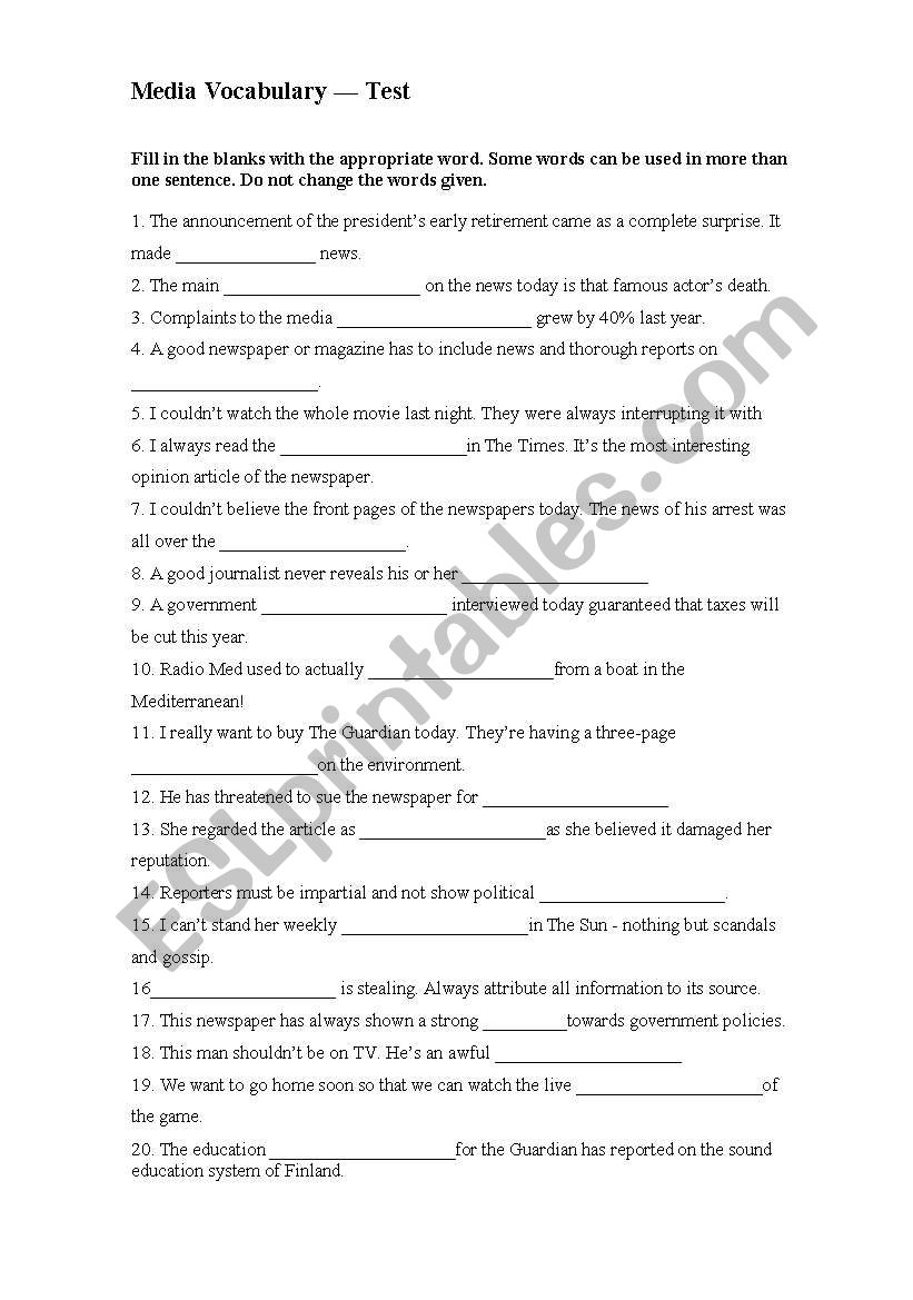 Media Vocabulary Test  worksheet