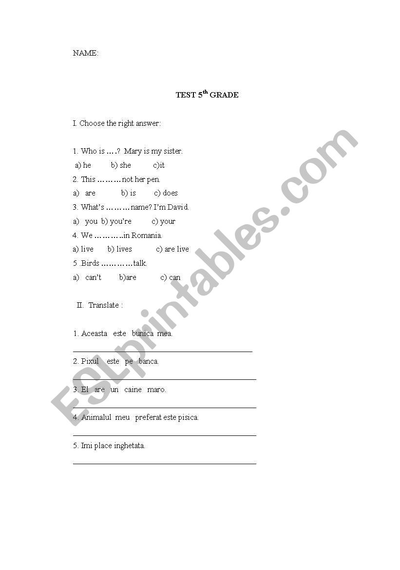 simple grammar test worksheet