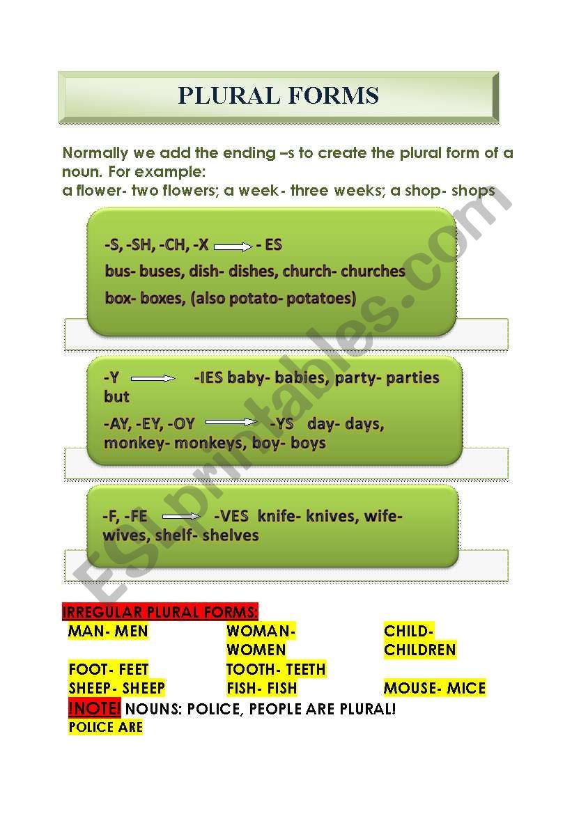 plural forms worksheet