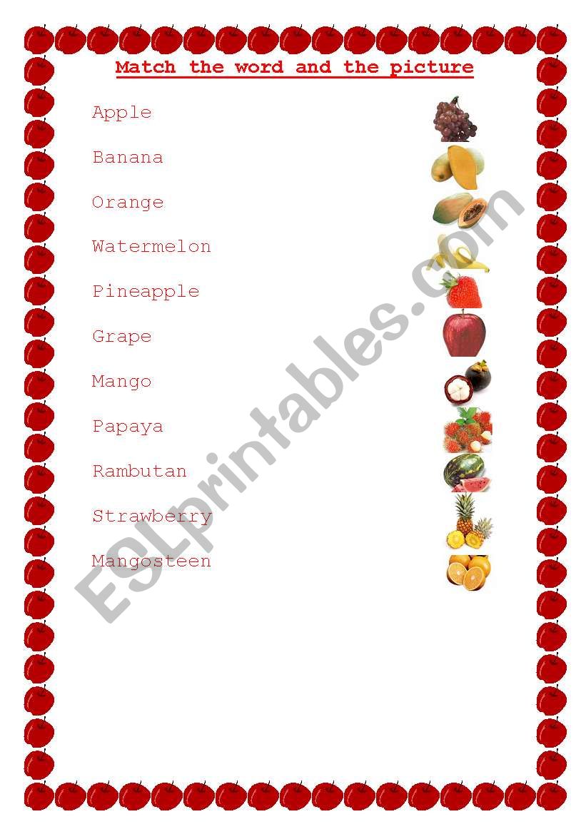 Match picture worksheet