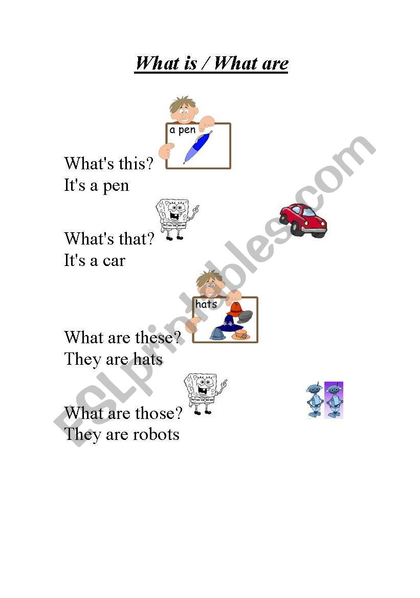 What is / what are worksheet