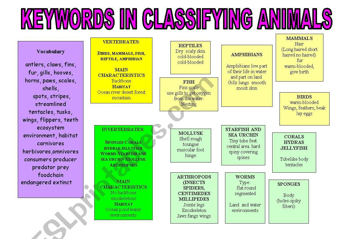 KEYWORDS IN CLASSIFYING ANIMALS