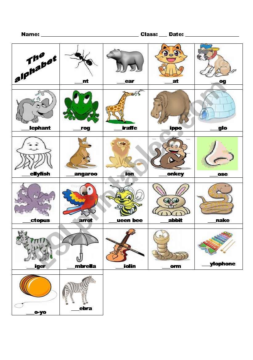 The alphabet worksheet