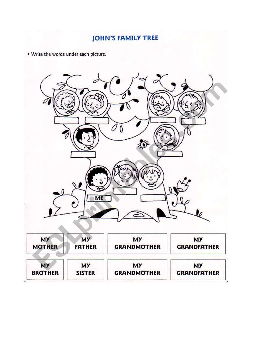 Johns family tree worksheet