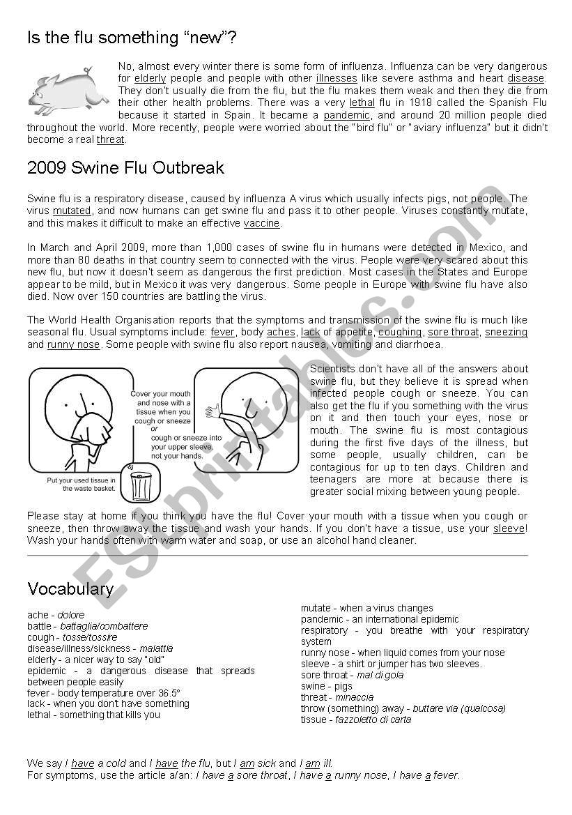 Swine flu (info) worksheet