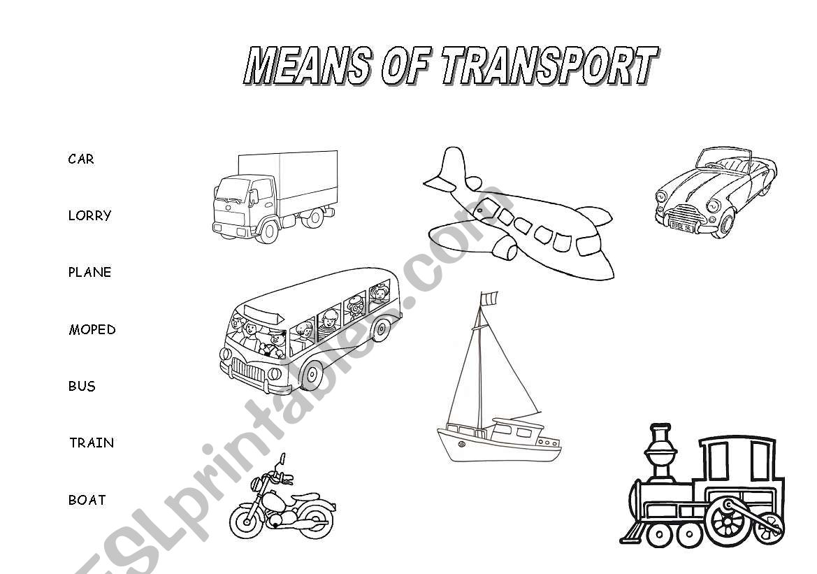 MEANS OF TRANSPORT worksheet