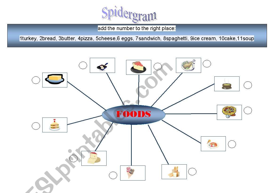 food spidergram worksheet