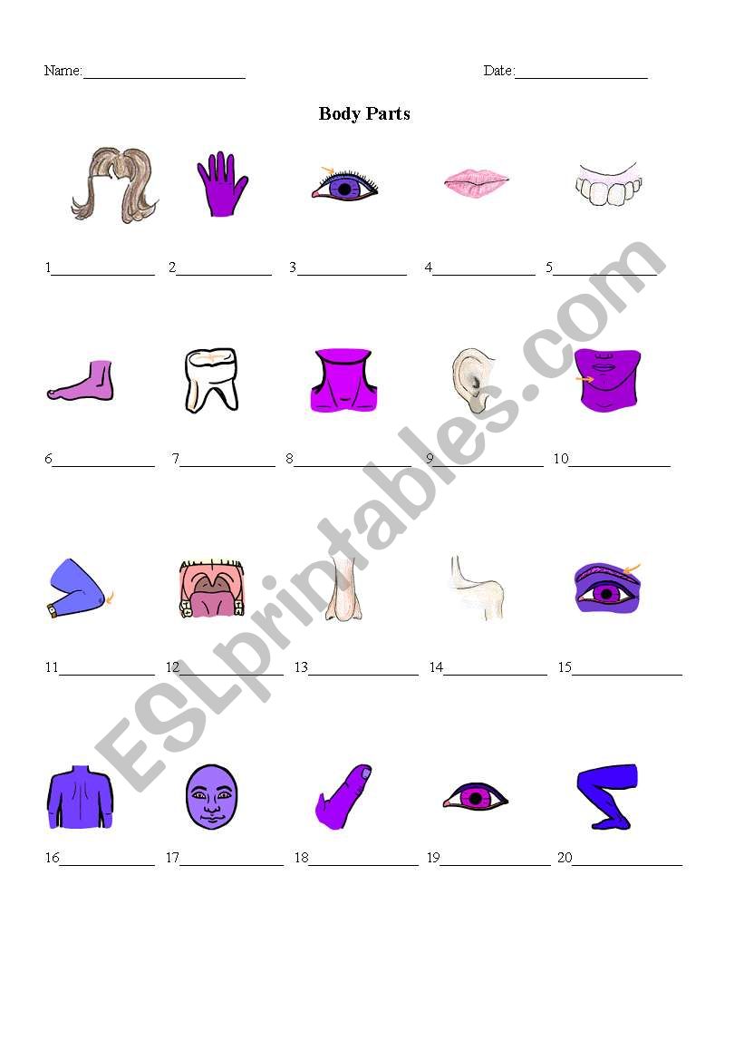 Body Parts worksheet
