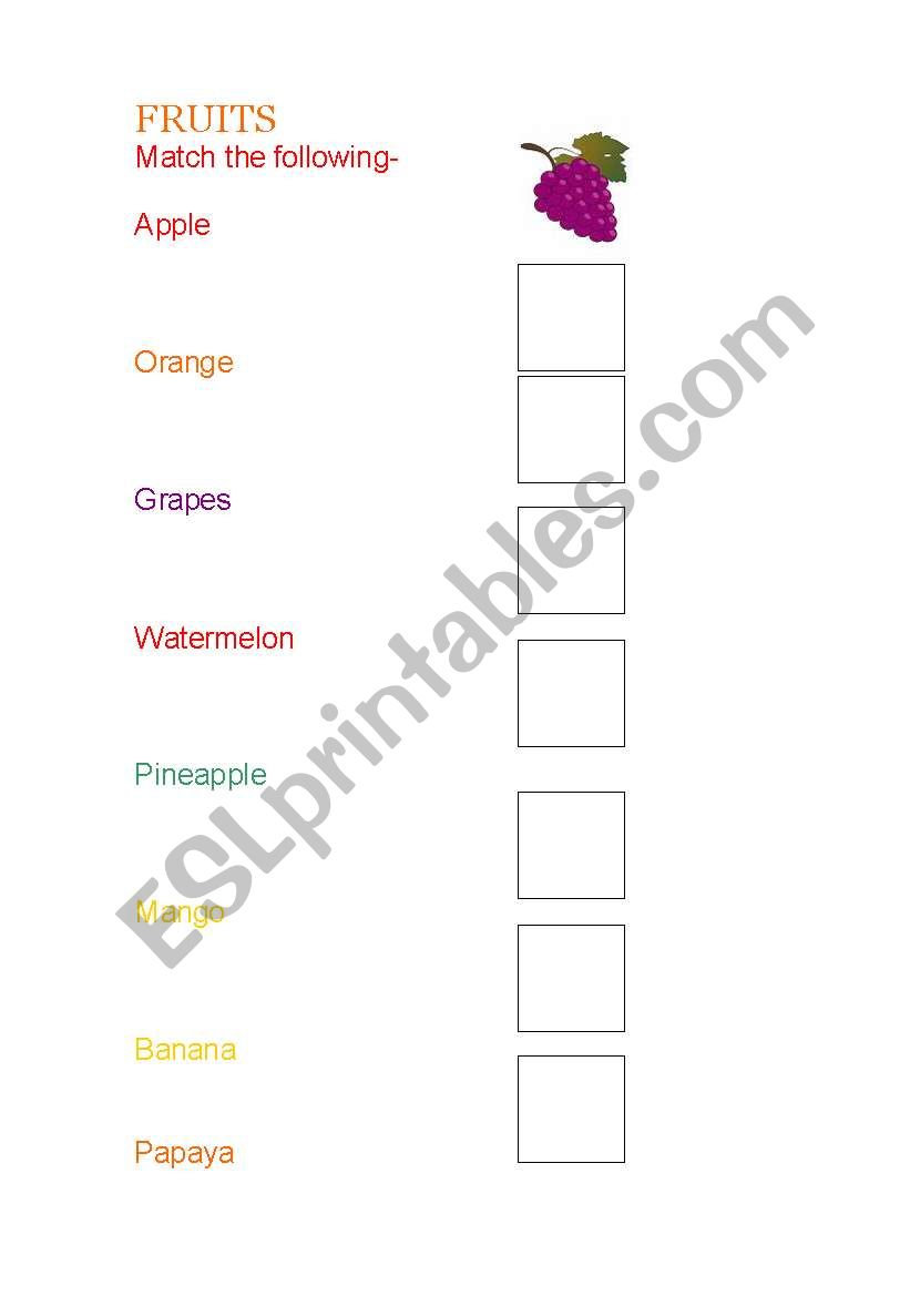 fruits worksheet