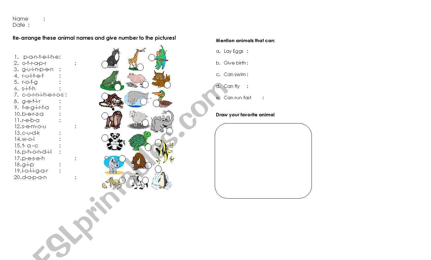 kind of animals  worksheet