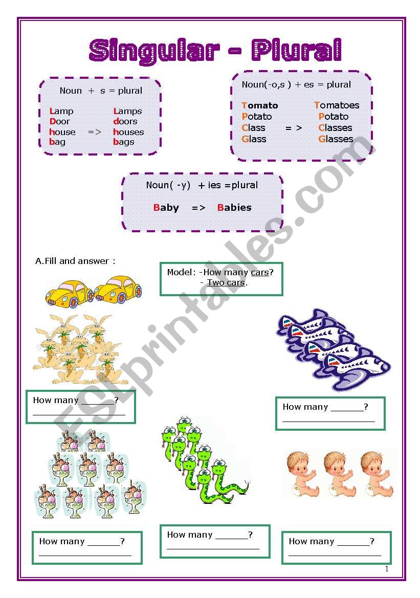 Singular - Plural  worksheet