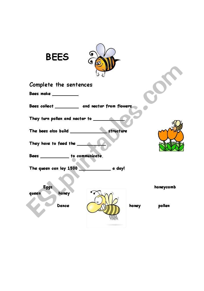 Bees Worksheet worksheet