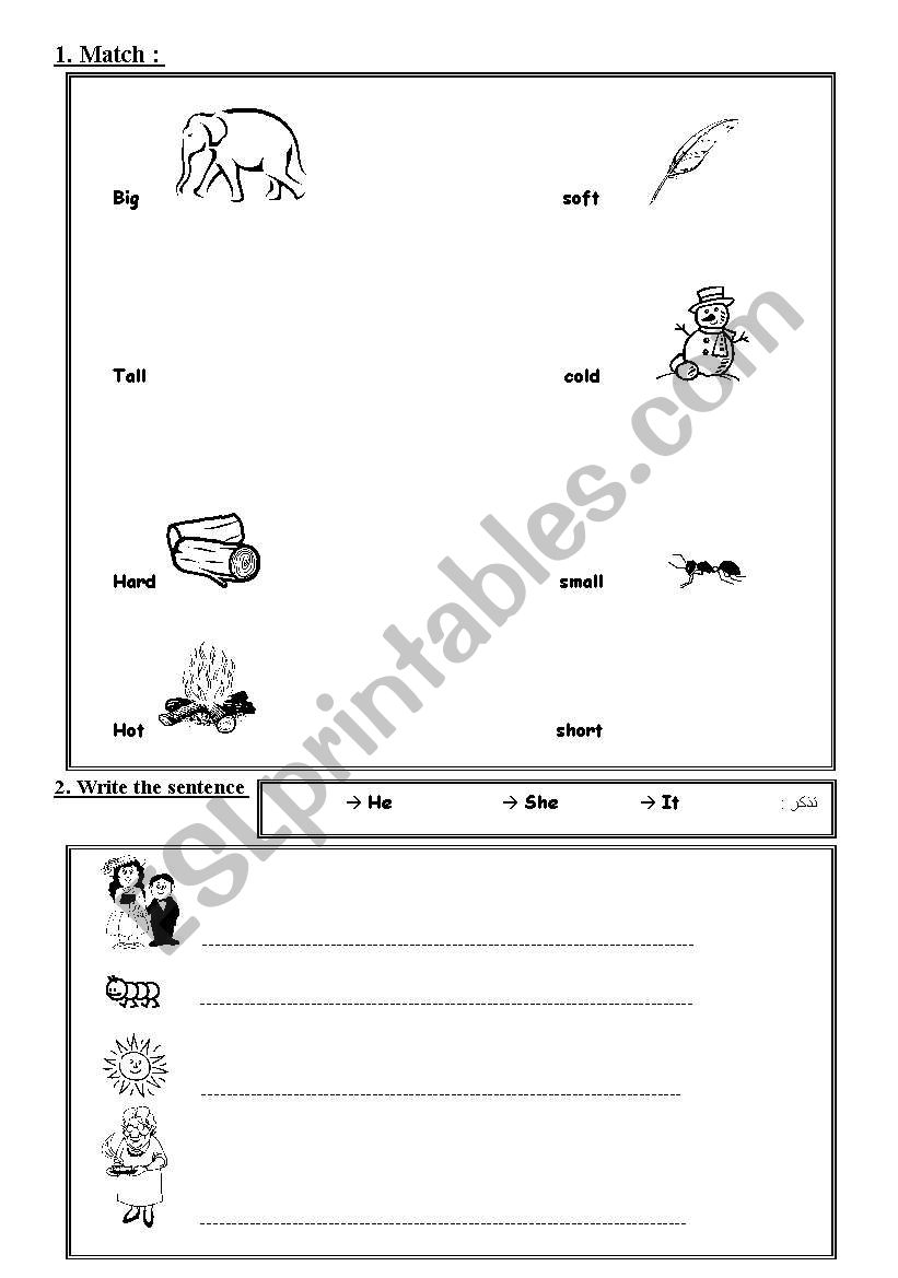 opposite worksheet