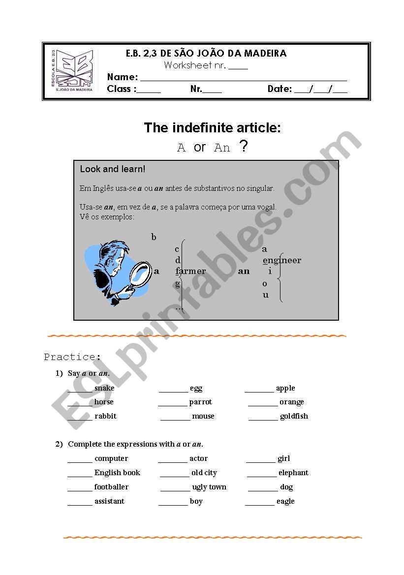 Indefinite articles worksheet