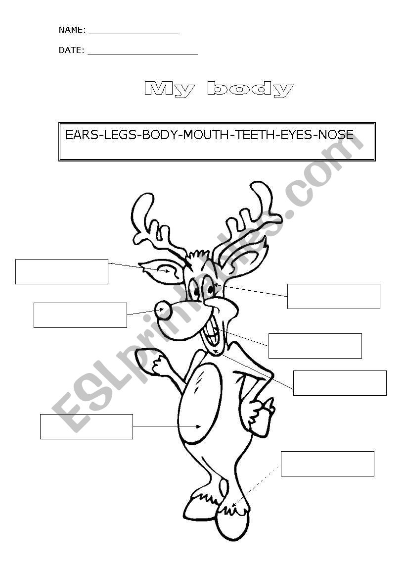 My body (Christmas) worksheet