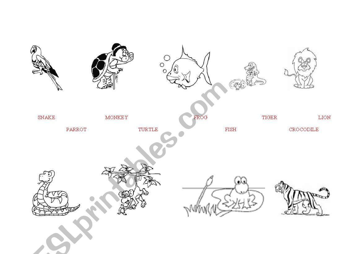 animals worksheet