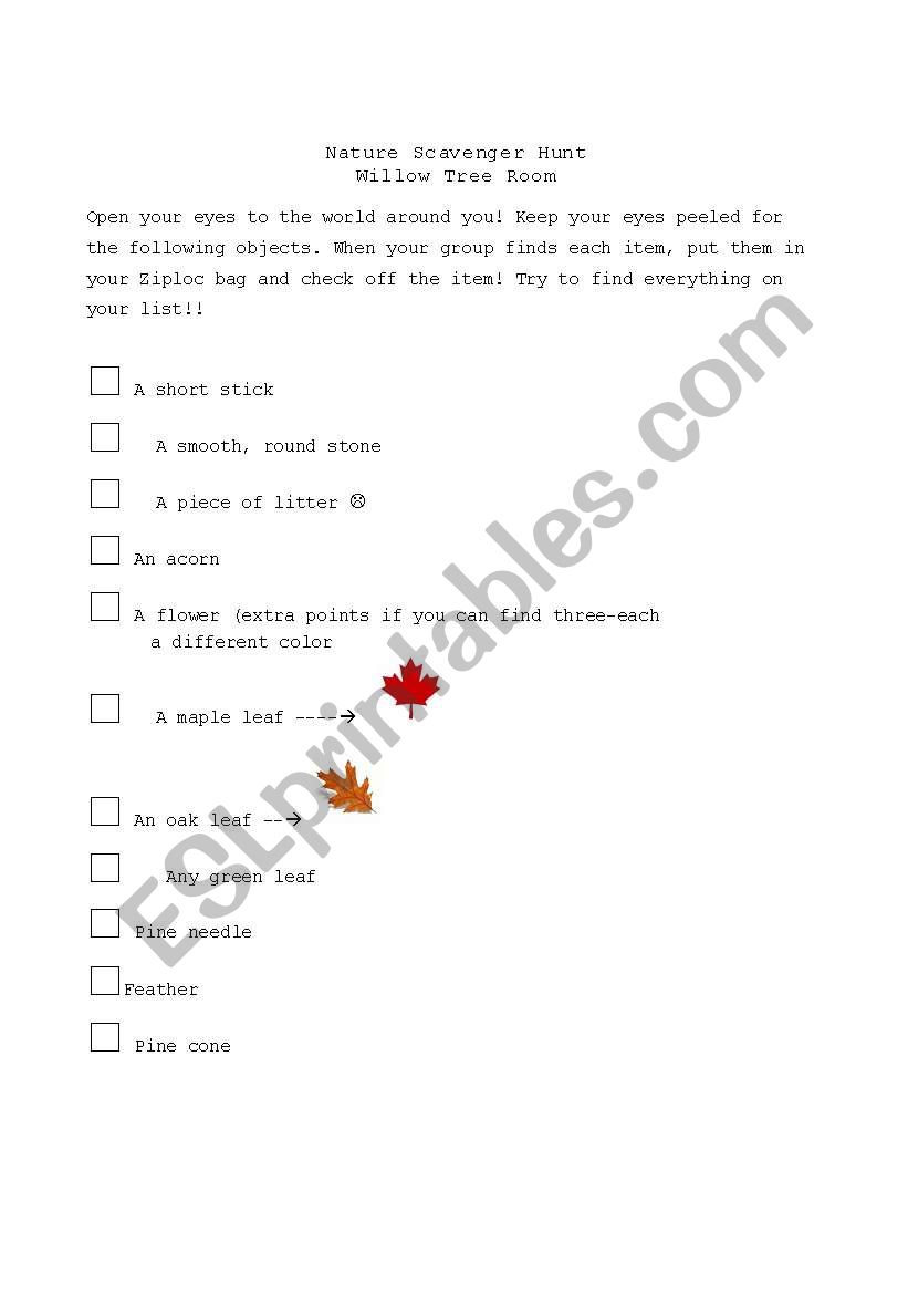 Nature Scavenger Hunt worksheet