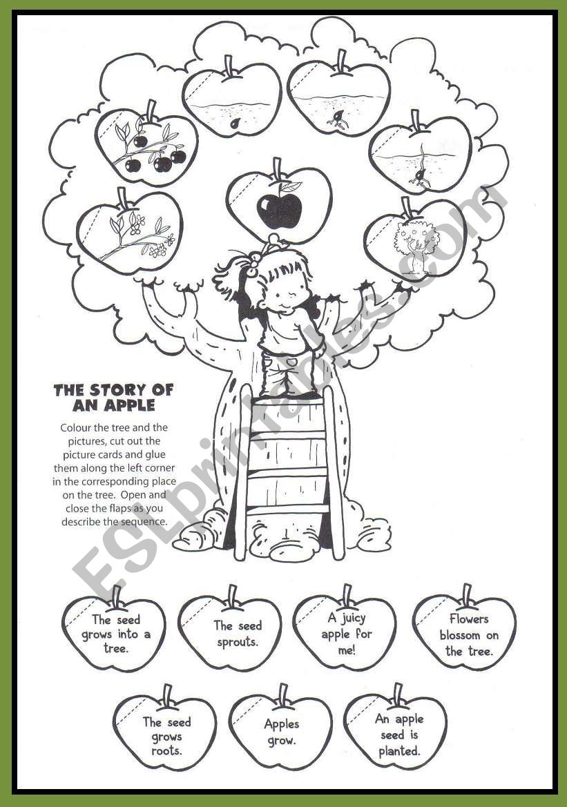 The story of an apple worksheet