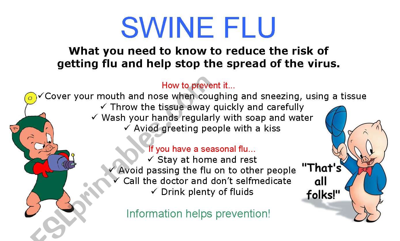 swine flu worksheet