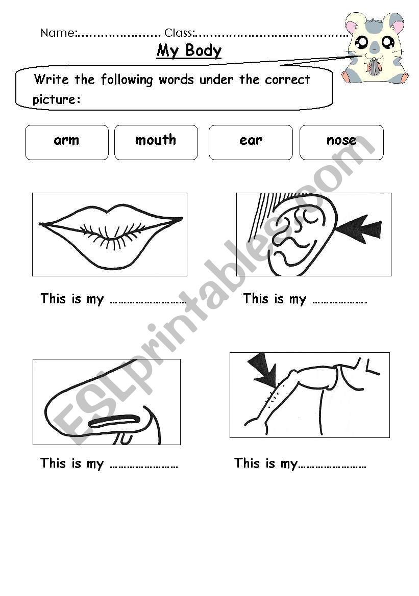 body parts worksheet