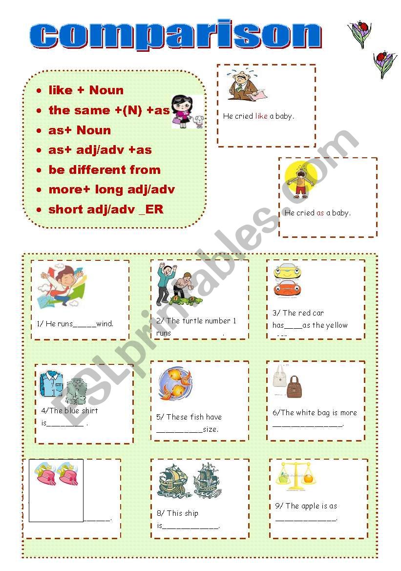 ALL KINDS OF COMPARISON worksheet