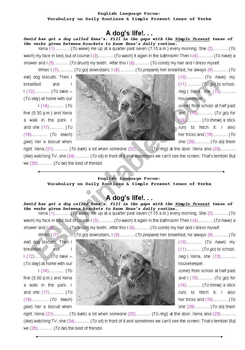 A dogs life... worksheet