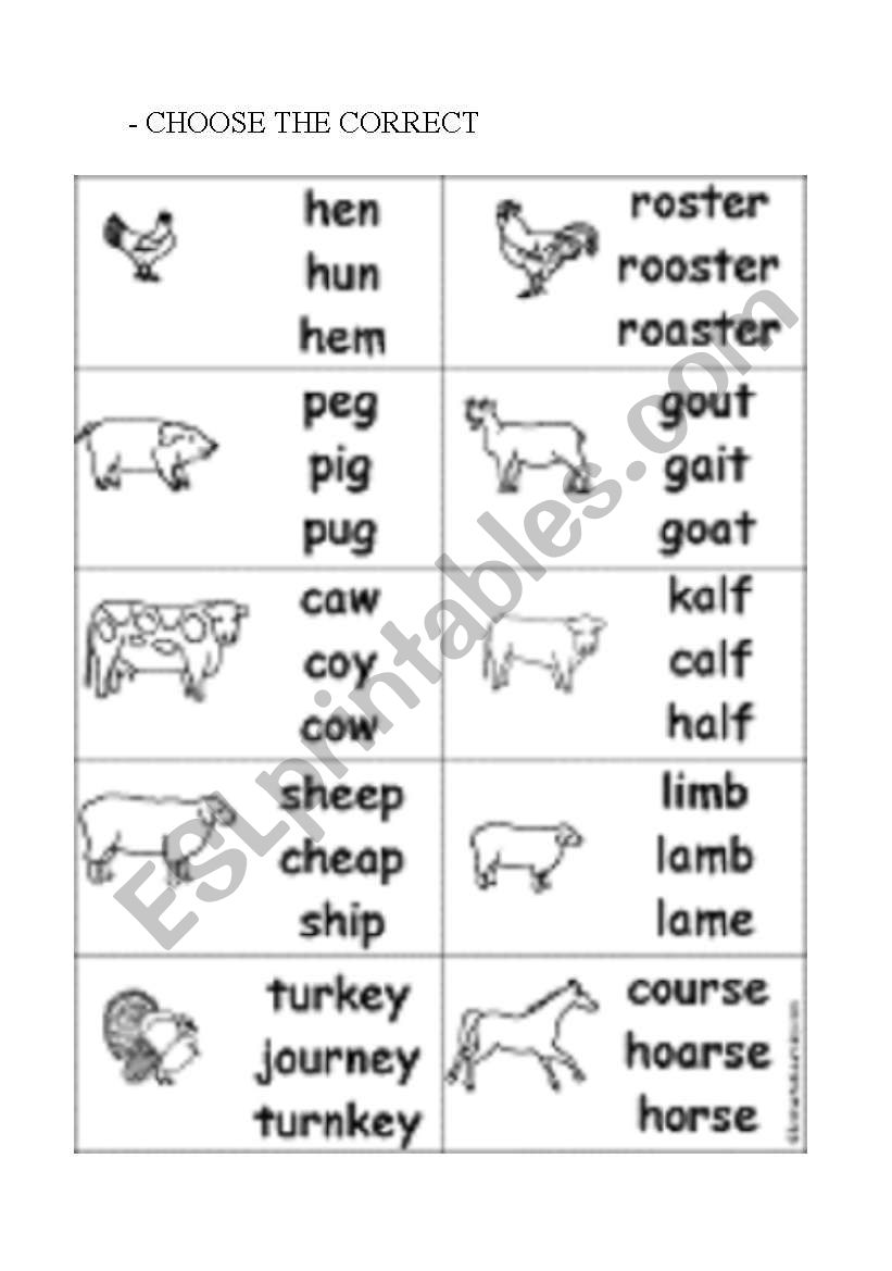 animals worksheet