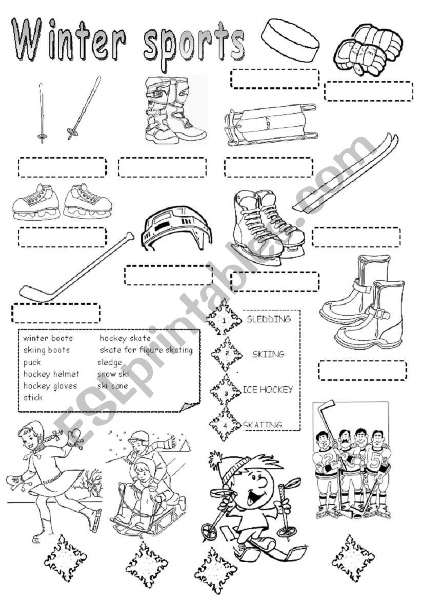 WINTER SPORTS worksheet