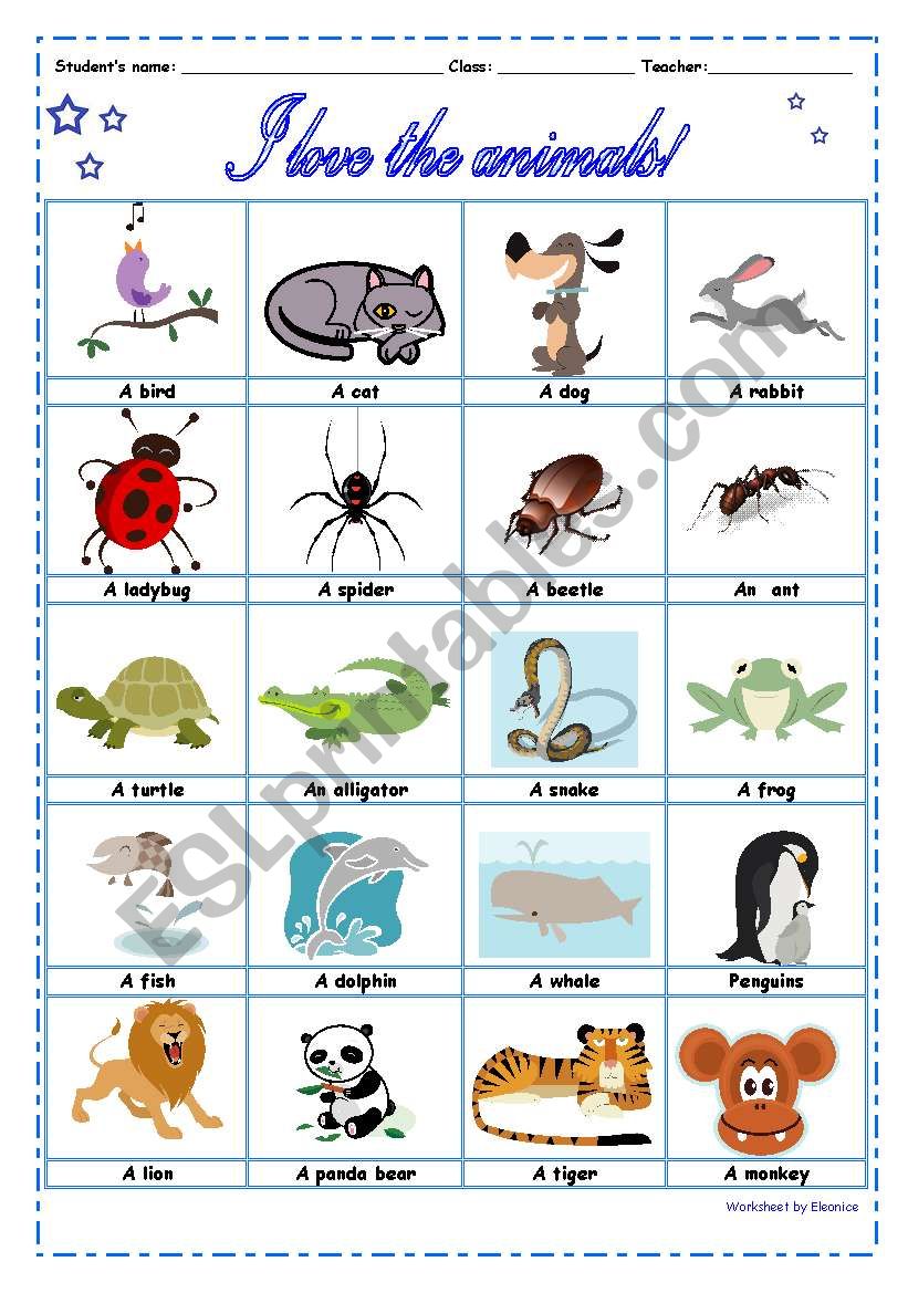 Animals Picture Dictionary worksheet