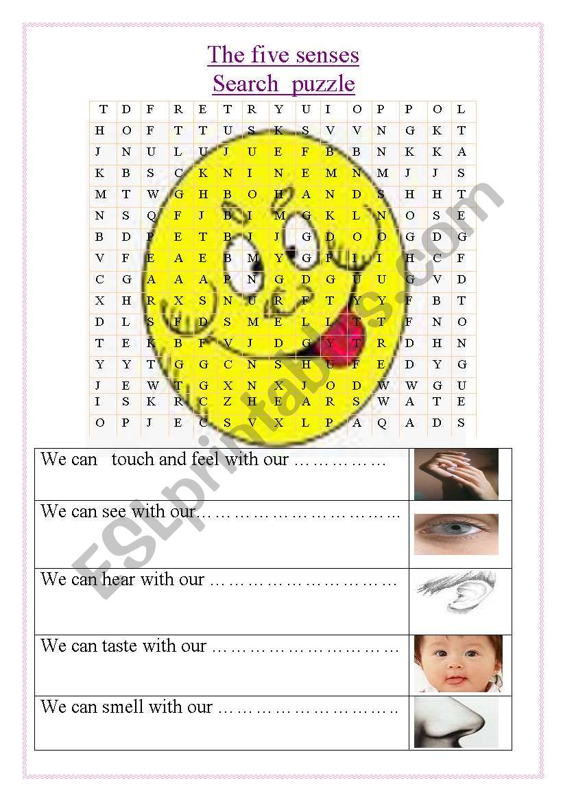 the five senses worksheet