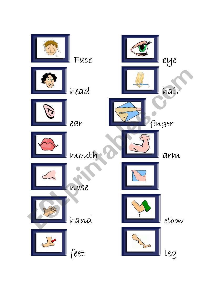 BODY VOCABULARY worksheet