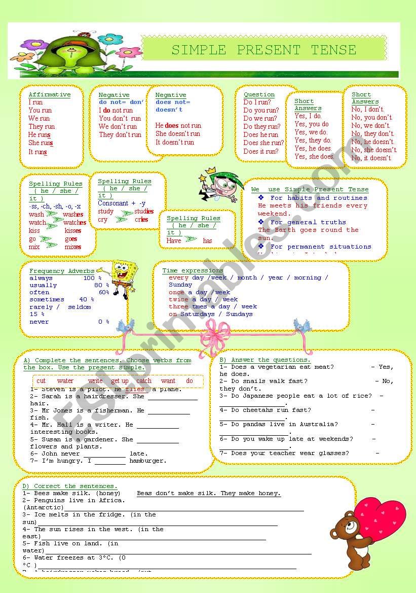 simple present  tense worksheet