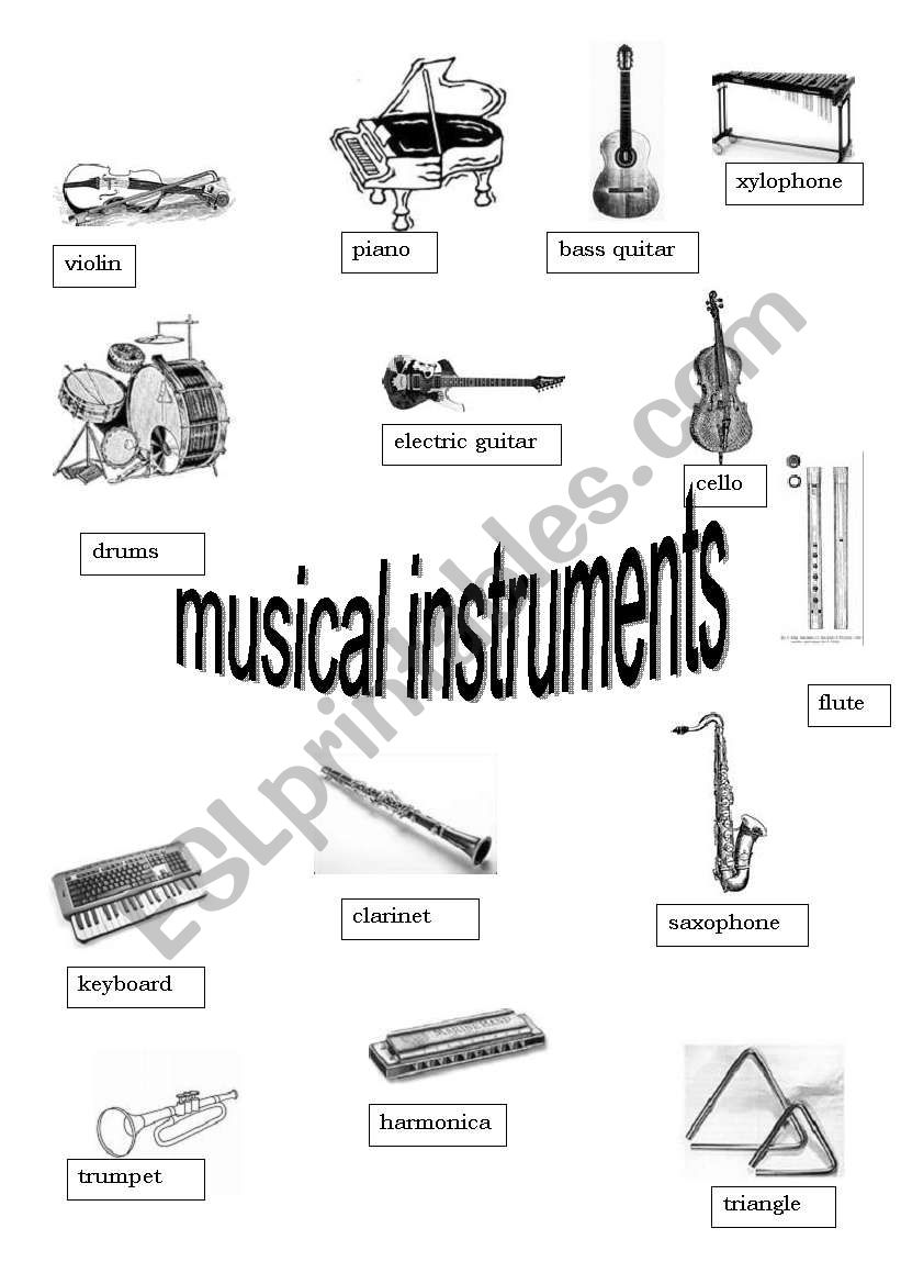 musical instruments- picture dictionary
