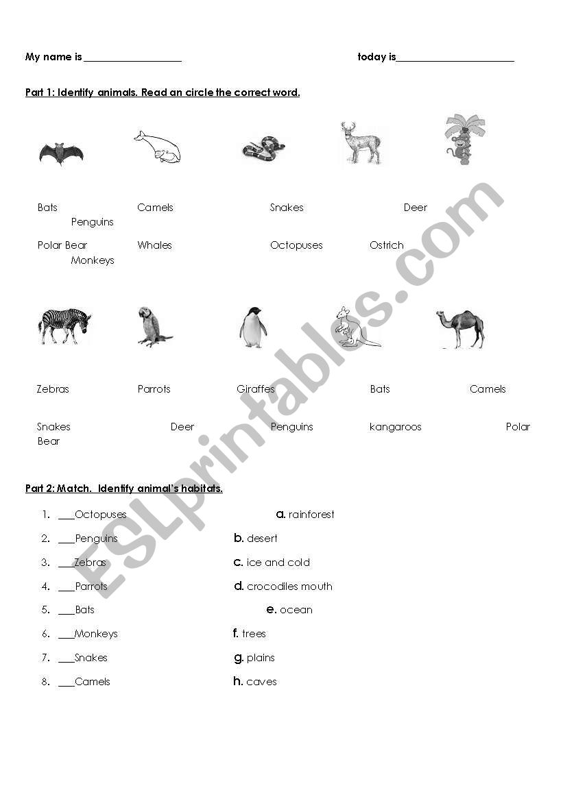 Test on animals, can or cant, habitats