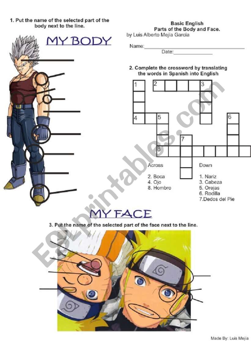 Body & Face worksheet