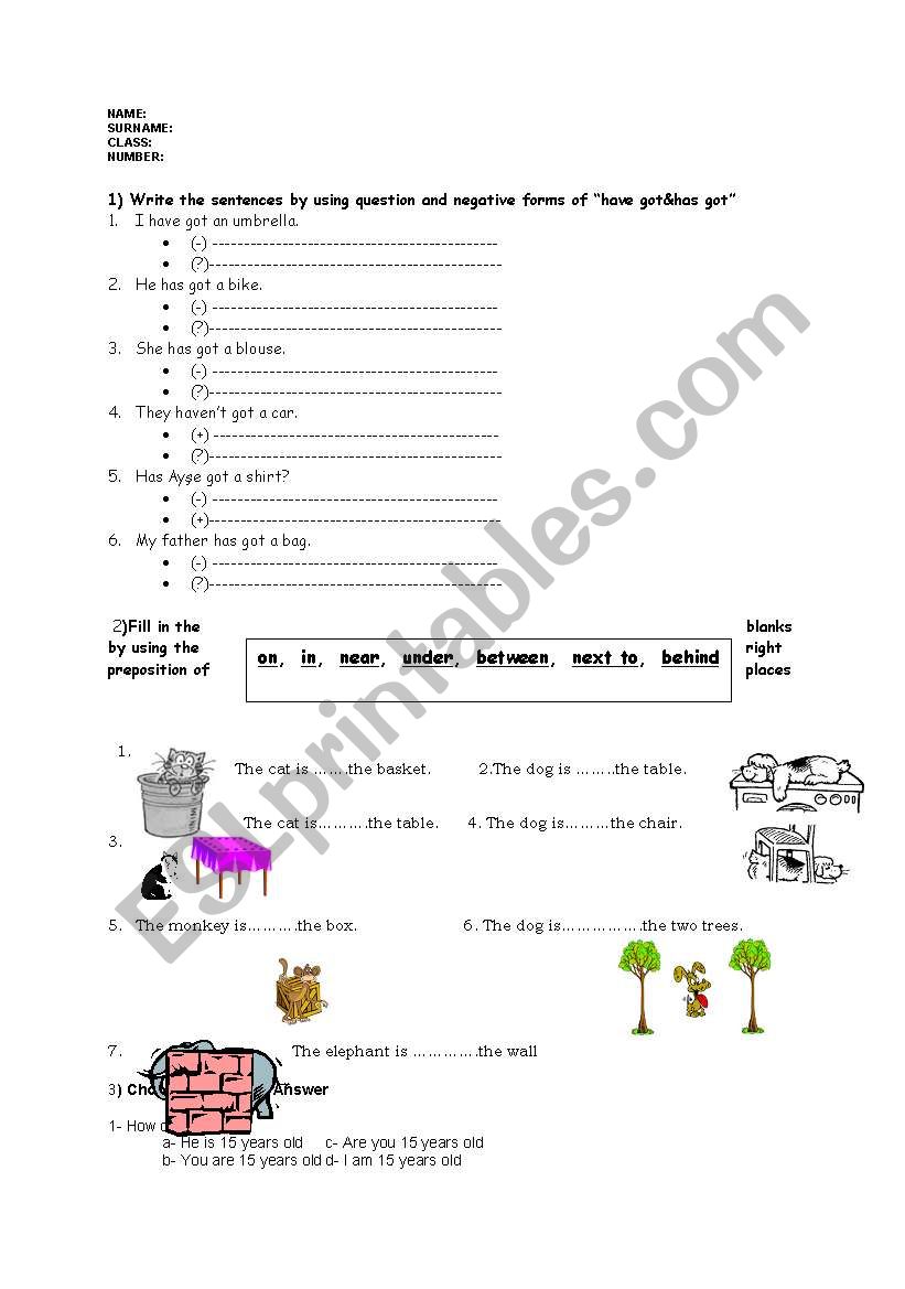 what is this? worksheet