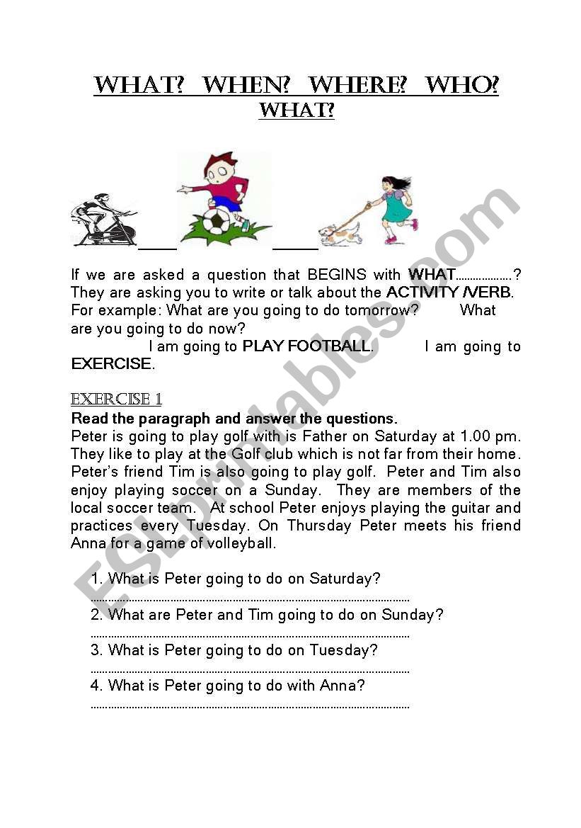 THE 4 Ws  worksheet