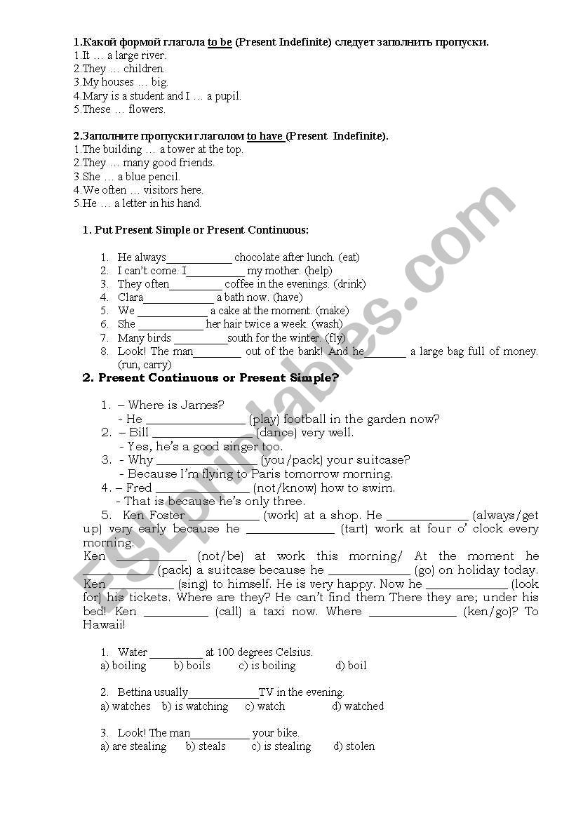 Test: Present Tenses  worksheet