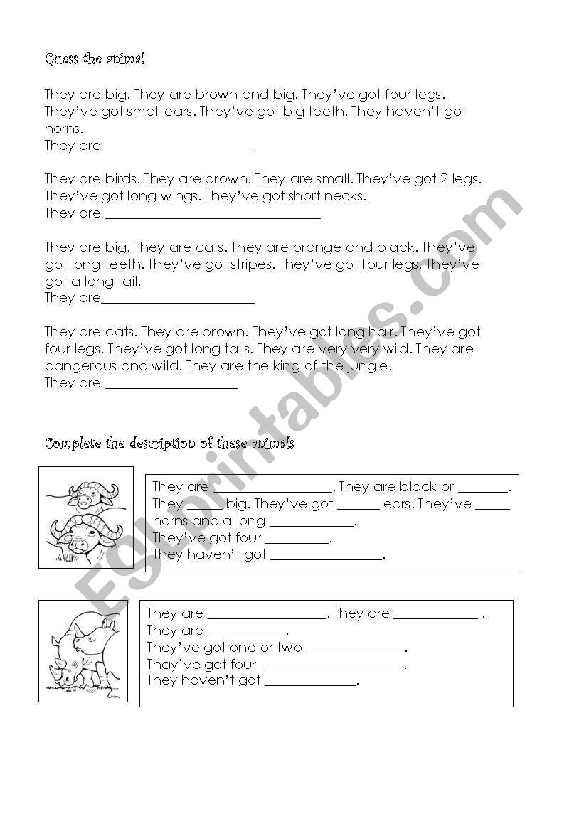 Describing animals worksheet