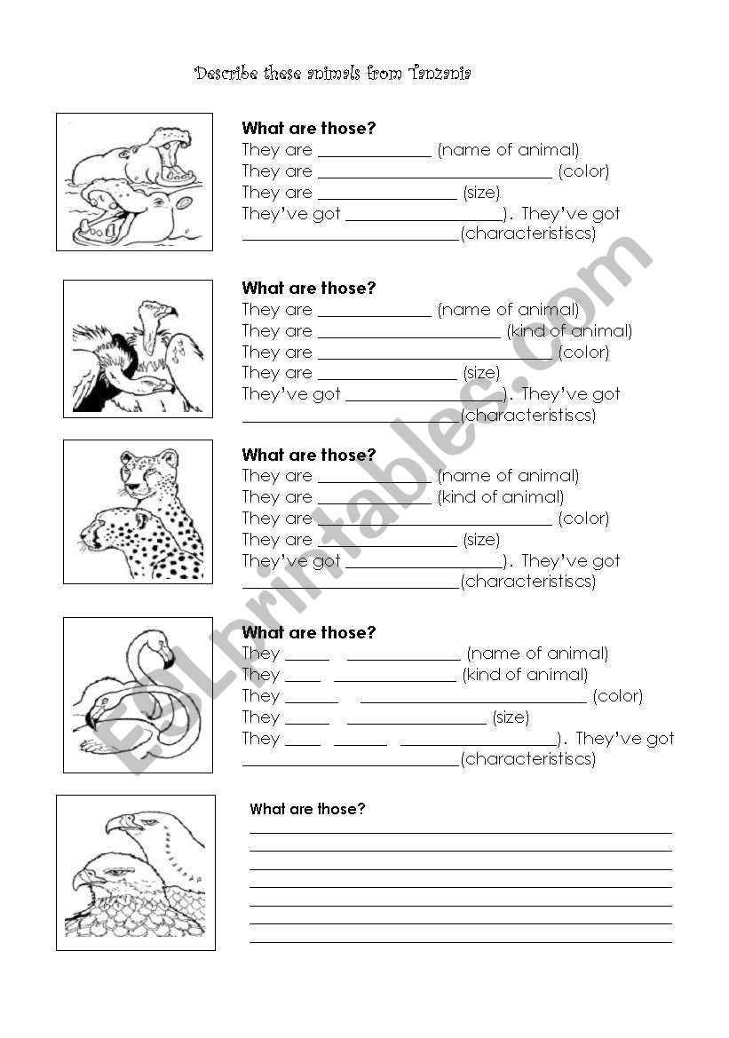 Describe these animals worksheet