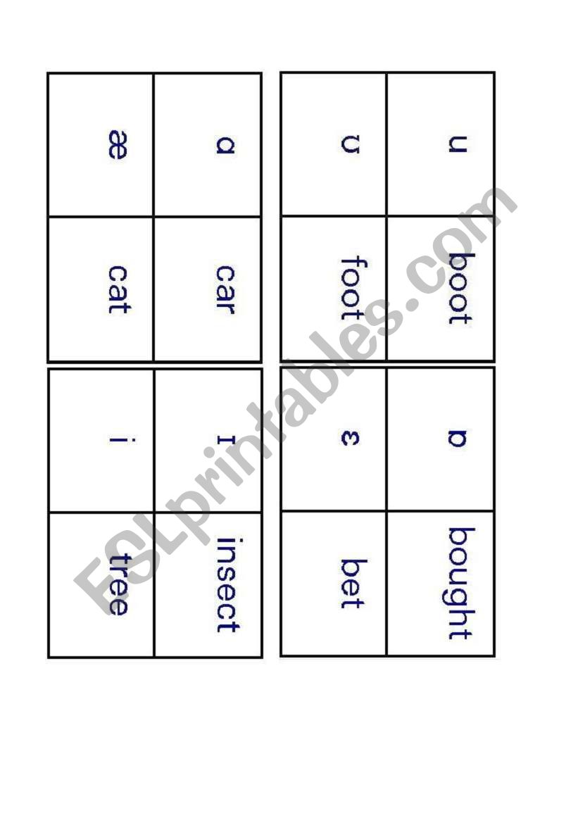 IPA flashcards worksheet