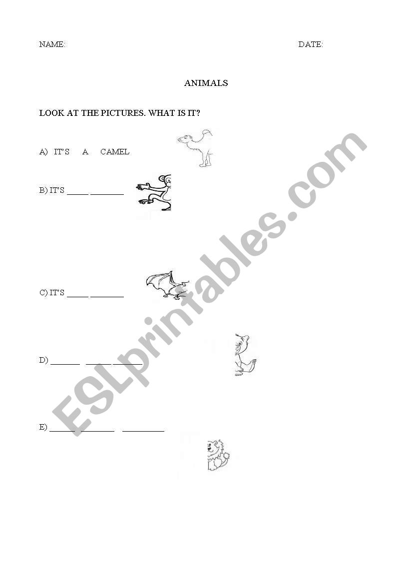 Animals worksheet